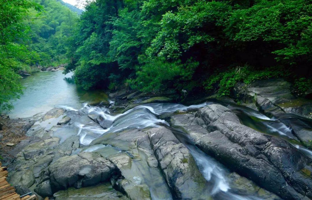 除鬼师